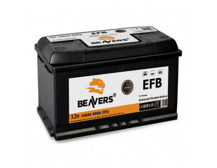 Акумулятор 6СТ-100 (R+) BEAVERS EFB 800А
